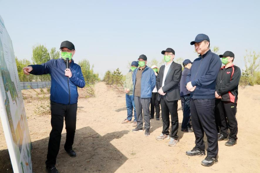 集團公司與國家林業和草原局、國家開發銀行聯合開展義務植樹活動