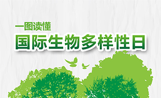  一圖讀懂國際生物多樣性日